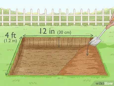 Image intitulée Grow Cinnamon Step 6