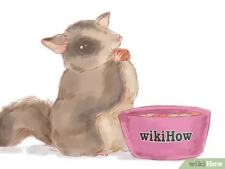 Image intitulée Care for a Sugar Glider Step 4