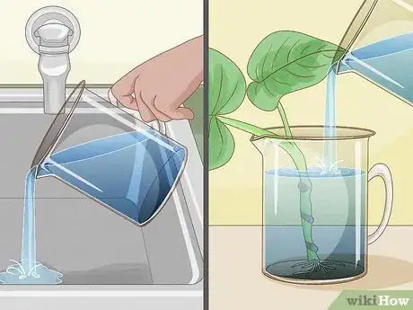 Image intitulée Trim a Monstera Deliciosa Step 10