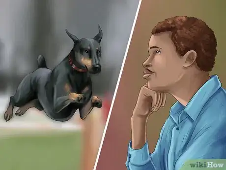 Image intitulée Care for Doberman Pincshers Step 1