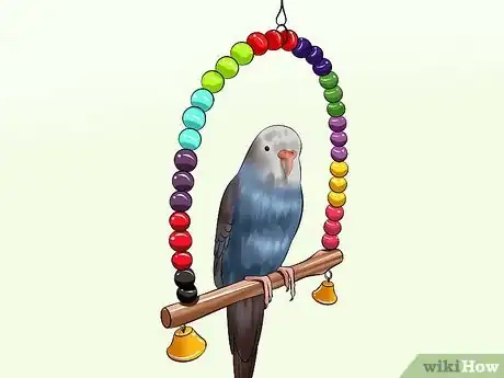 Image intitulée Play With Your Budgie Step 3
