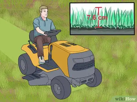 Image intitulée Sow Grass Seed Step 13