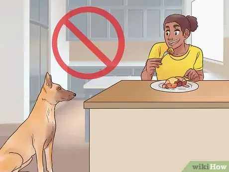 Image intitulée Train a Belgian Malinois Step 12