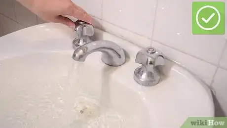 Image intitulée Use a Plunger Step 1