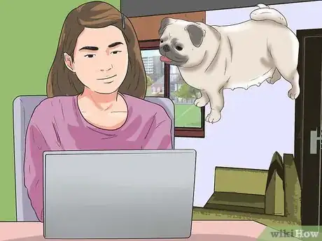 Image intitulée Breed Pugs Step 3