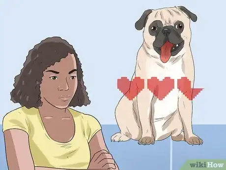 Image intitulée Breed Pugs Step 9