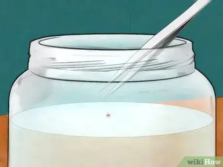 Image intitulée Get Ticks off Dogs Step 11