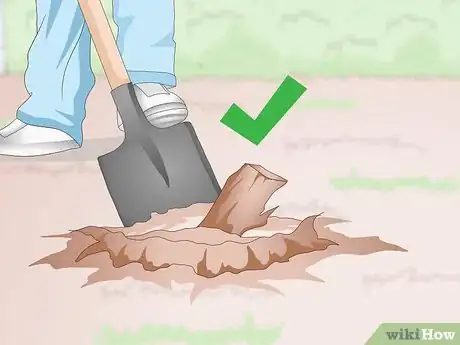 Image intitulée Kill Trumpet Vine Step 3