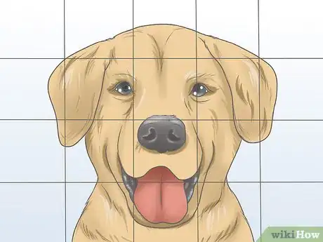 Image intitulée Draw Step 4