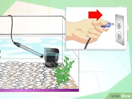 Image intitulée Fix Cloudy Aquarium Water Step 10
