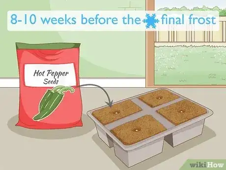 Image intitulée Grow Hot Peppers Step 1