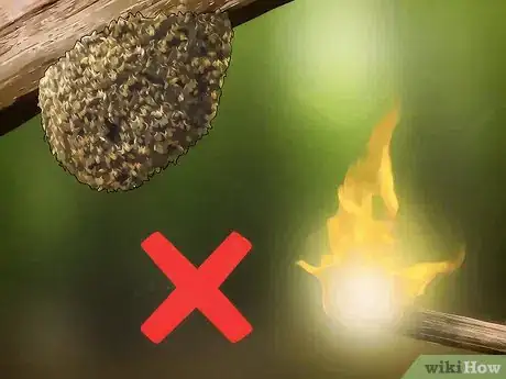 Image intitulée Care for an Injured Honeybee Step 10