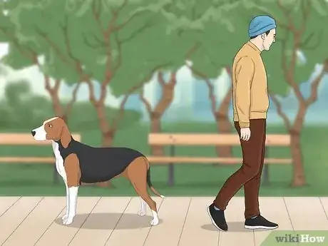 Image intitulée Handle a Dog Attack Step 9
