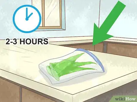 Image intitulée Store Aloe Leaves Step 3