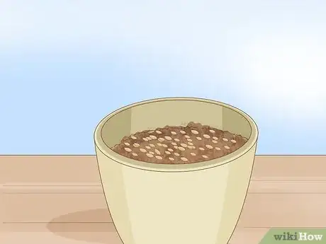 Image intitulée Plant Poppy Seeds Step 6