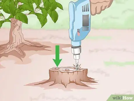 Image intitulée Kill Trumpet Vine Step 4