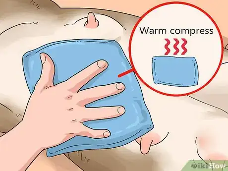 Image intitulée Treat Mother Dogs with Sore or Infected Nipples Step 4