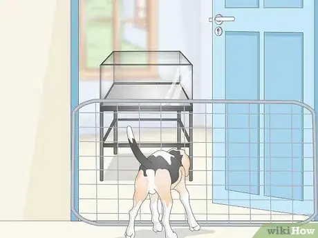 Image intitulée Set up a Tropical Freshwater Aquarium Step 4