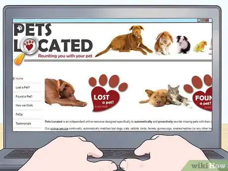 Image intitulée Know if a Cat Is a Stray Step 14