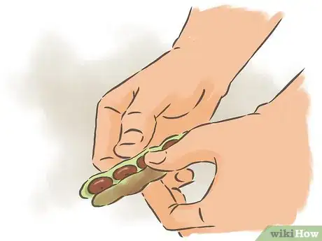 Image intitulée Grow Kidney Beans Step 17