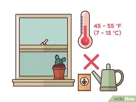 Image intitulée Grow Cactus Indoors Step 14