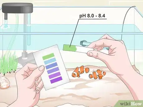 Image intitulée Cycle a Saltwater Tank Step 14