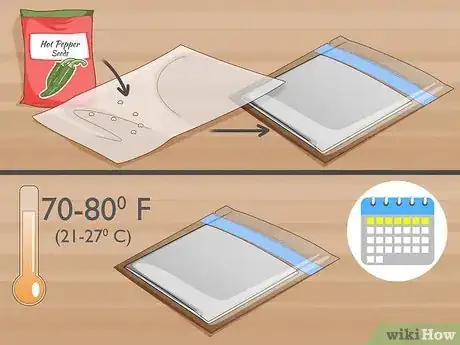 Image intitulée Grow Hot Peppers Step 2