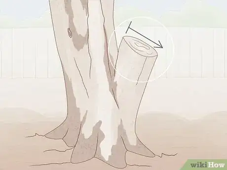 Image intitulée Prune an Olive Tree Step 5