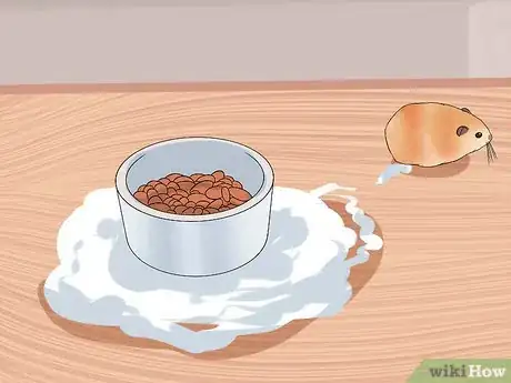 Image intitulée Find a Lost Hamster Step 8