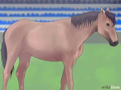 Image intitulée Win at Horse Racing Step 1