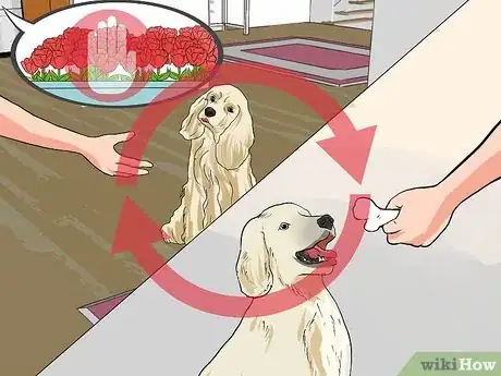 Image intitulée Keep Dogs out of Flower Beds Step 11