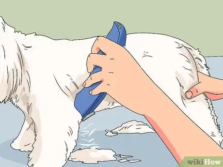 Image intitulée Groom Shih Tzus Step 12