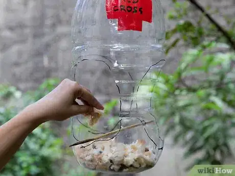 Image intitulée Build a Milk Jug Bird Feeder Step 12