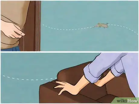 Image intitulée Chase Lizards out of Your House Step 3