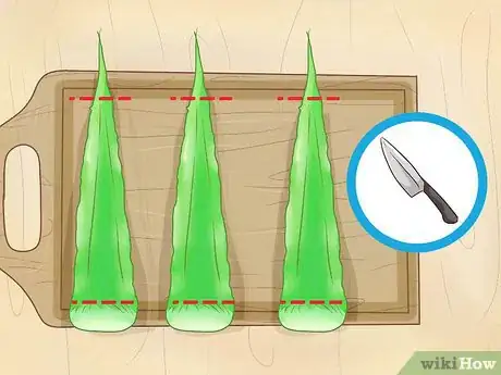Image intitulée Store Aloe Leaves Step 5