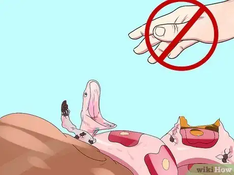 Image intitulée Care for a Corn Snake Step 10