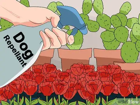 Image intitulée Keep Dogs out of Flower Beds Step 10