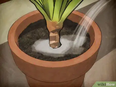 Image intitulée Protect Plants from the Cold Step 5
