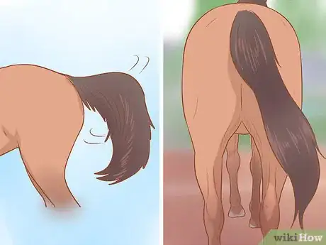 Image intitulée Understand Horse Communication Step 8