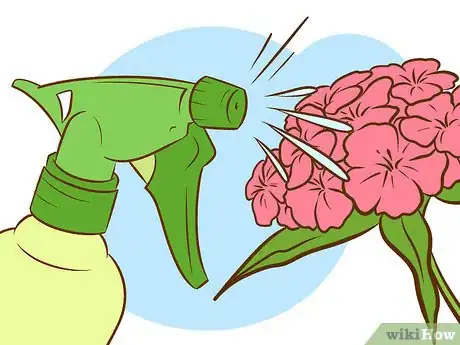 Image intitulée Grow Sweet William Plants Step 10