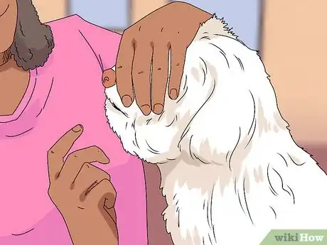 Image intitulée Groom Shih Tzus Step 14