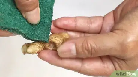 Image intitulée Extract Ginger Juice Step 4