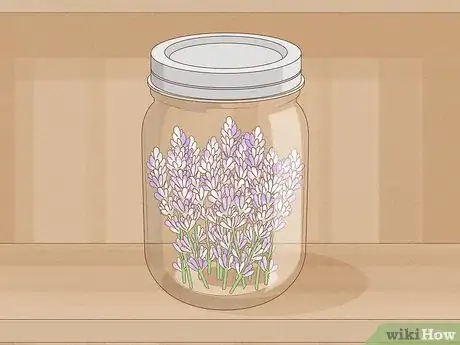 Image intitulée Harvest Lavender Step 10