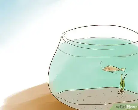 Image intitulée Keep Guppies Healthy Step 3
