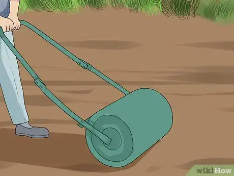 Image intitulée Sow Grass Seed Step 9