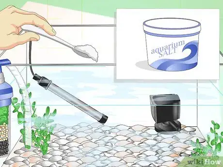 Image intitulée Fix Cloudy Aquarium Water Step 17