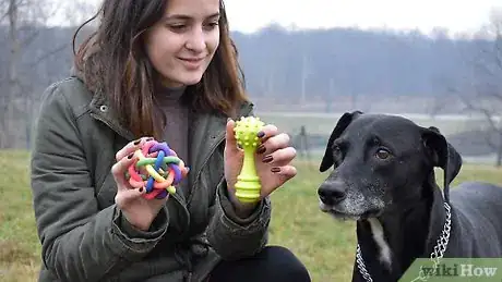 Image intitulée Play with Your Dog Step 11