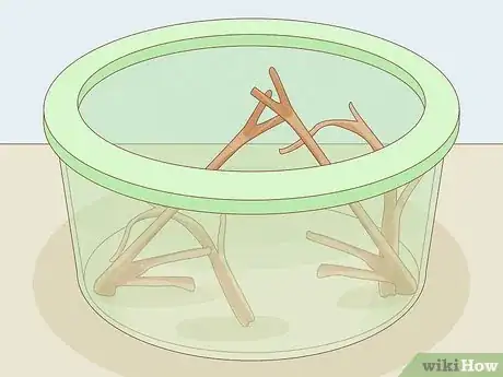 Image intitulée Find a Caterpillar Step 15
