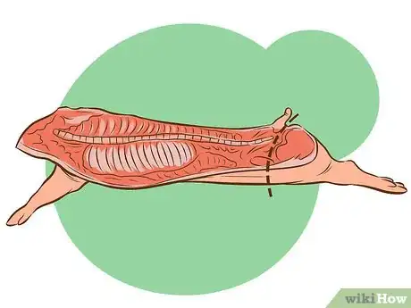 Image intitulée 1234931 16