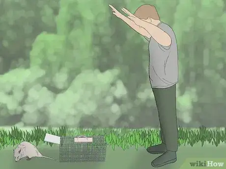 Image intitulée Trap a Possum Step 9Bullet2